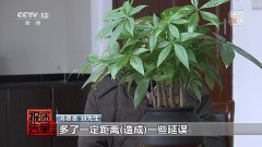 约车“张冠李戴” 司机收入缩水 独家调查网络货运消费乱象